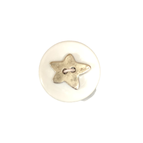 Button - 2 Hole Matt Silver Star 20mm