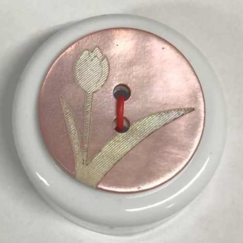 Button - 23mm Shell Tulip 66 Pink