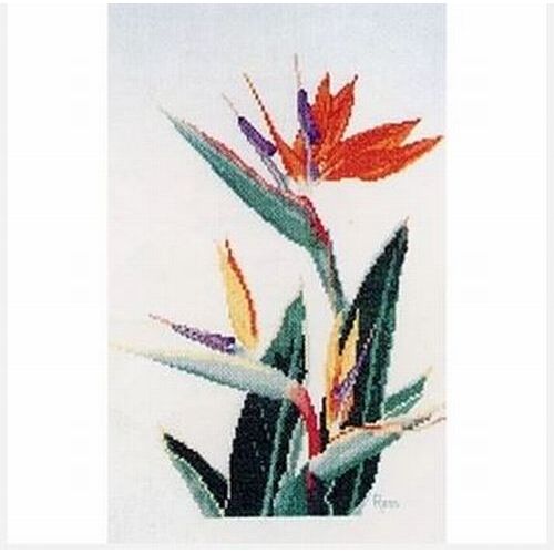 Ross Originals Cross Stitch Chart - Strelitzia 