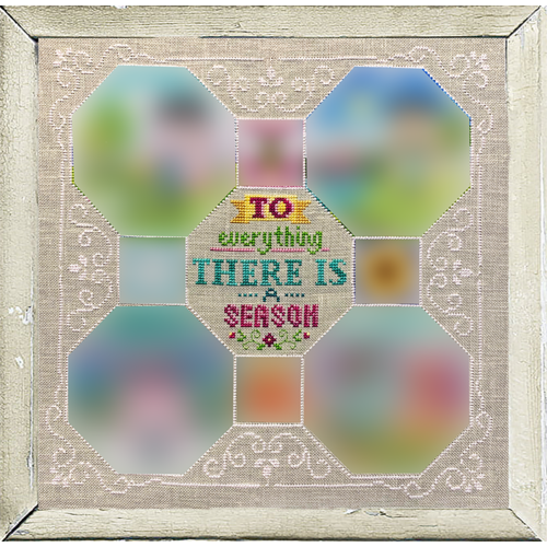 2020 Series: Every Season Sampler - Border and Central Design
